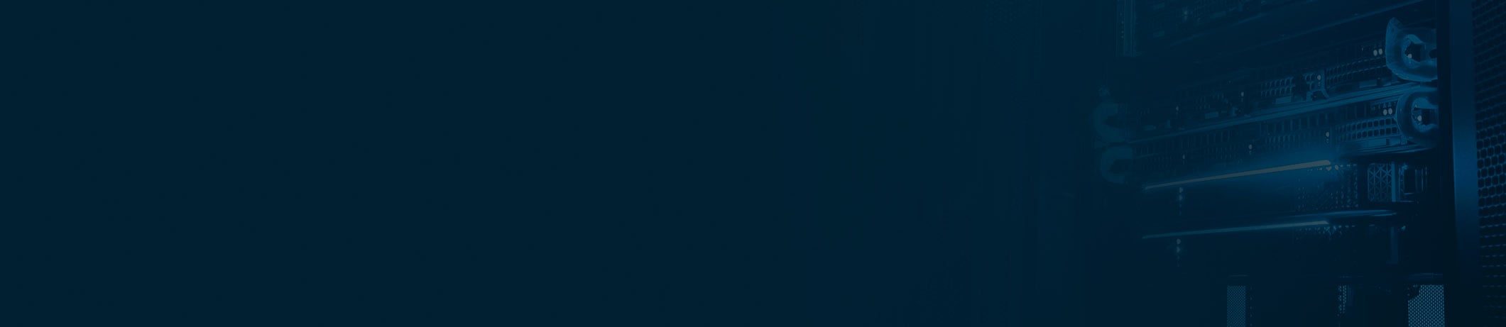 Network Vulnerability Assessment Infosheet Download